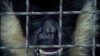 13238_Taste-of-Excitement04.JPG