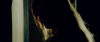 13263_Hot-Nights-of-Linda-The-screenshot04.png