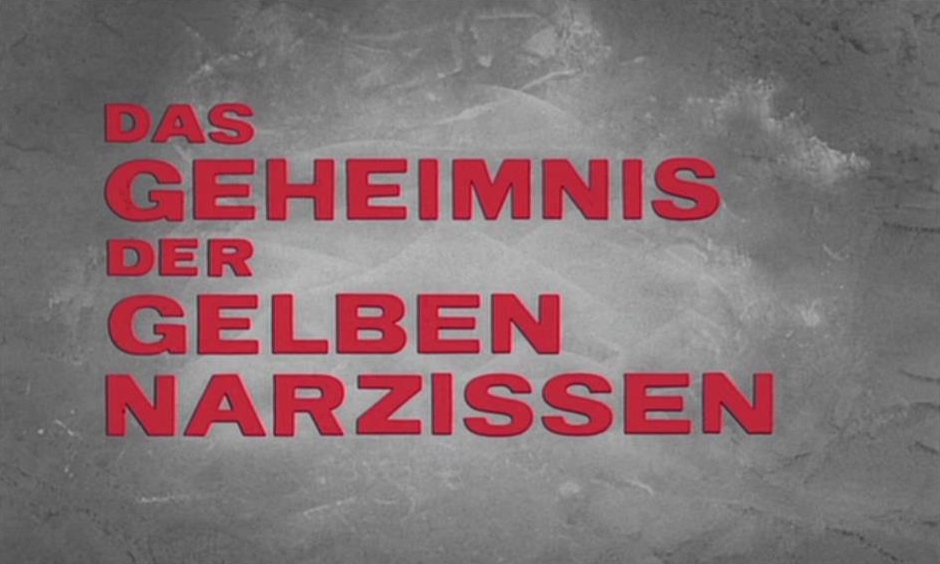 Geheimnis der gelben Narzissen, Das