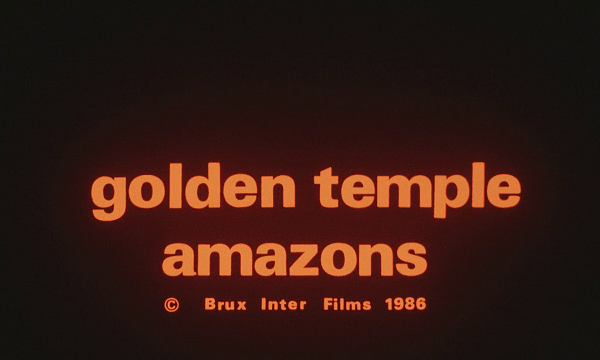 goldene Tempel der Amazonen, Der