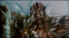 14460_Rush-screenshot08.png