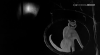 15138_Castle-of-the-Living-Dead-screenshot01.png