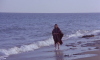 16211_Bahia-Blanca-screenshot03.png