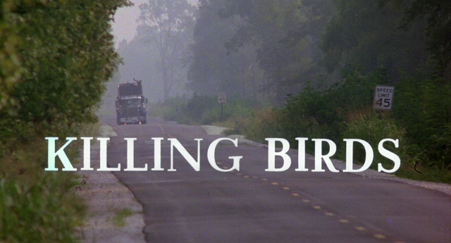 Killing Birds