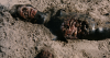 16482_Beast-Unheimliche-Tiefe-The-screenshot02.png