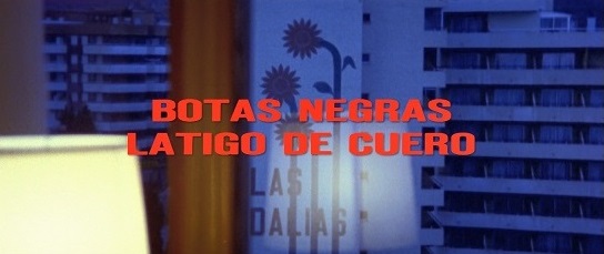 Black Boots, Leather Whip