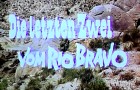 letzten Zwei vom Rio Bravo, Die