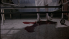 5294_zombies-unter-kannibalen01.png