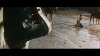 8048_Fuenf-blutige-Stricke-screenshot01.png