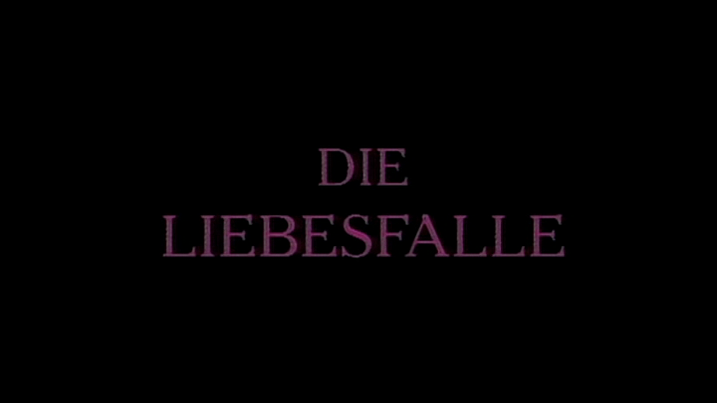 Liebesfalle - Love Web