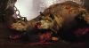 9434_Rache-des-Herkules-screenshot02.png